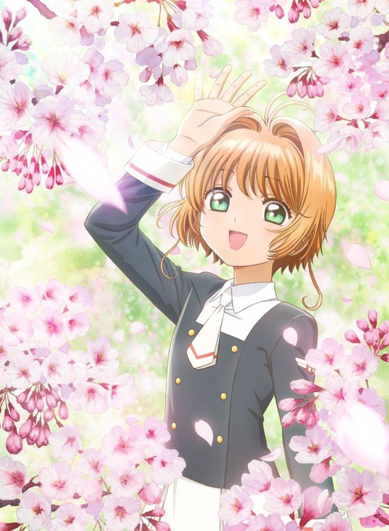 Lançamentos - Sakura Animes