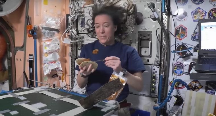 Astronauta Megan McArthur na Estação Espacial Internacional